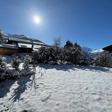 Hautes Cimes 113 -
